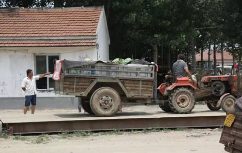 西瓜市場(chǎng)過(guò)地磅1斤1分錢